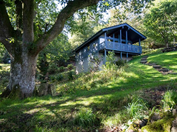 Cedar Chalet 20 in Perthshire