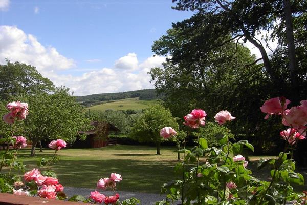 Cedar Lodge in Somerset