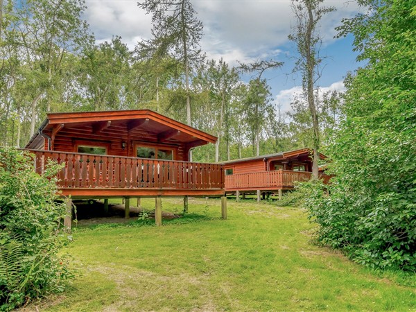 Cedar Lodge (Pet), 