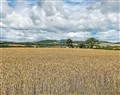 Take things easy at Cedar Lodge; Powys