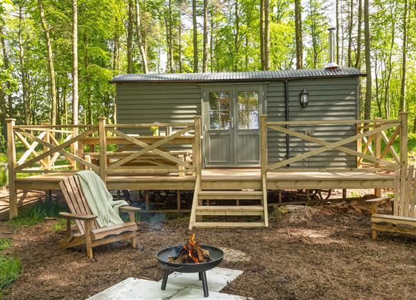 Cedar Retreat in Cumbria