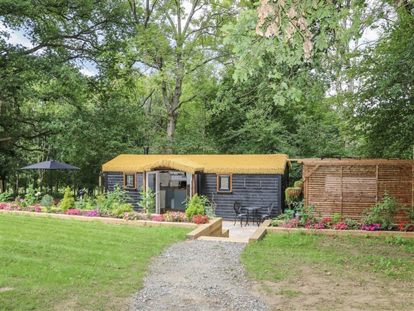 Charltons Hollow Cabin - West Sussex