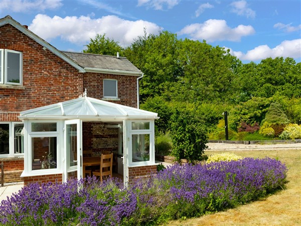 Charming Countryside Cottage in Dorset