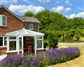 Charming Countryside Cottage - Dorset