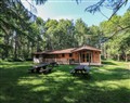 Unwind at Chestnut Lodge; ; Rosliston