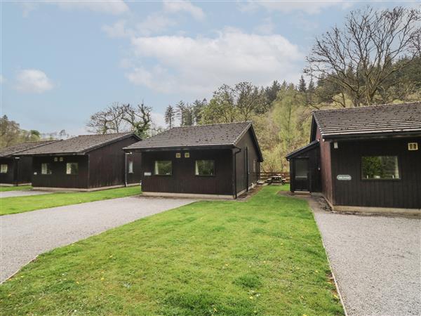 Chestnut Timber Lodge in Cumbria