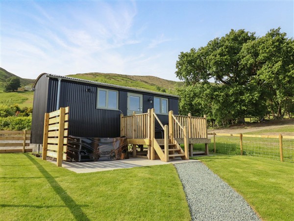 Cheviot in Powys