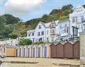 Chine Bluff in Shanklin - Isle of Wight