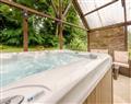 Enjoy your Hot Tub at Clyn Felin Cottages - Bluebell; Dyfed