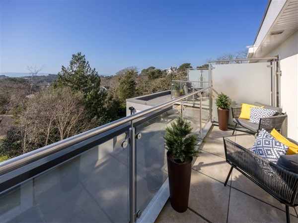 Coastal Bound in Dorset