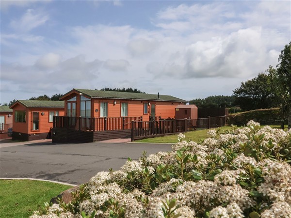 Cody Lodge in Devon