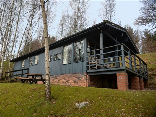 Conifer Chalet 5 in Perthshire