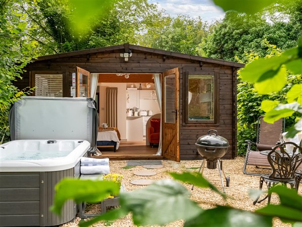 Copperbeech in Dorset