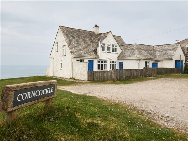 Corncockle in Cornwall