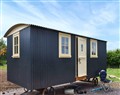 Take things easy at Cottontails Hut; Devon