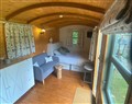 Cozy Cabin Retreat in Newtown - Powys