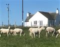 Cranberry Cottage in  - Caithness