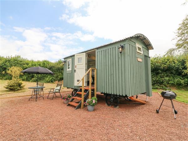 Cuckoo's Nest in Devon