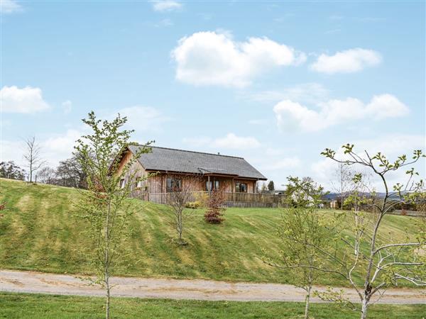 Culmill Lodges - Beech in Kiltarlity, Inverness-Shire