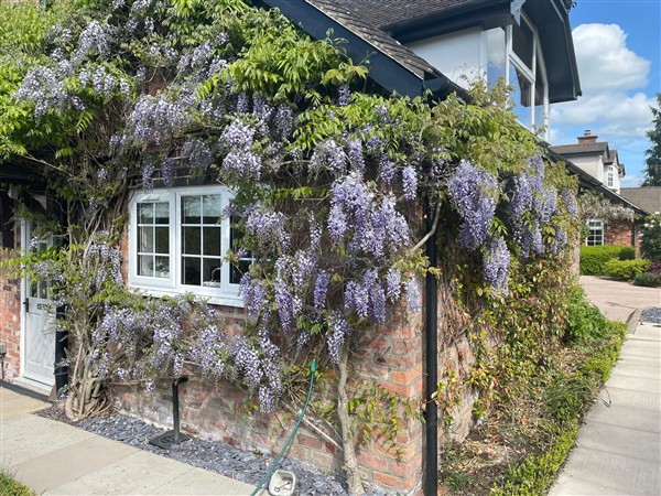 Curlew Cottage, 