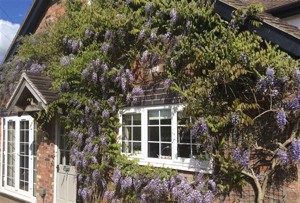 Curlew Cottage in Lower Peover, Knutsford - Cheshire