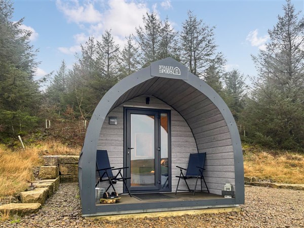 Curlew in North Yorkshire