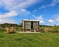 Cwt Bugail - Gwynedd