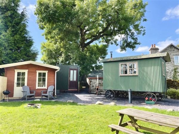 Cwt Tyddyn Shepherd's Hut - Clwyd
