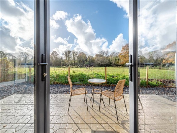 Cwtch Honey in Dyfed