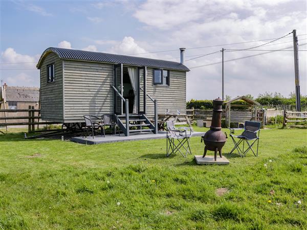 Cwtch Winnie Shepherds Hut in Clwyd