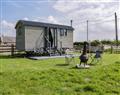 Cwtch Winnie Shepherds Hut <i>Clwyd</i>