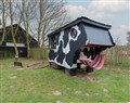 Unwind at Daisy (Cow Shed 1); ; Easton near Campsea Ashe