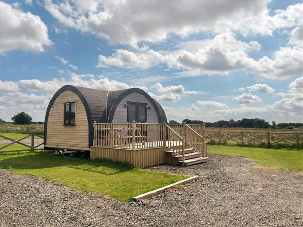 Daisy Glamping Pod in South Yorkshire