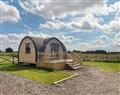 Take things easy at Daisy Glamping Pod; South Yorkshire