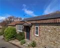 Damson Tree Cottage - Dorset