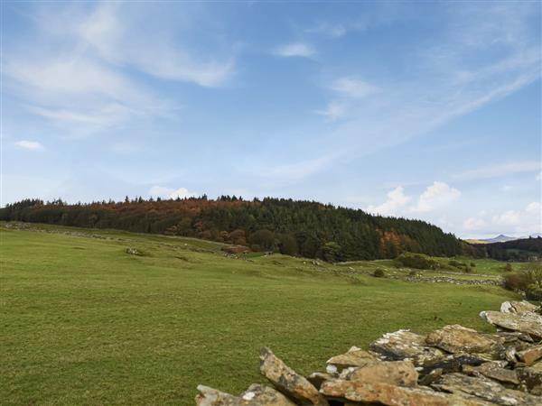 Deer Close in Cumbria