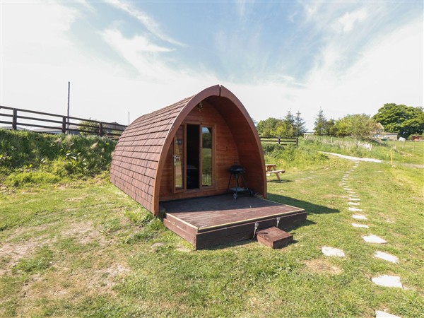Deer Pod in North Yorkshire