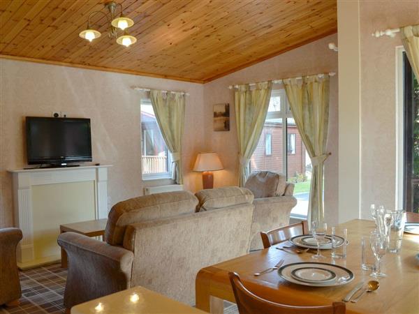 Deeside Woodland Lodges- Lodge A in Aberdeenshire