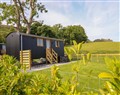 Unwind at Defaid Cymreig; ; Moelfre near Oswestry