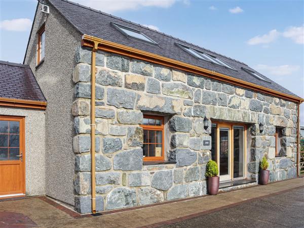 Deri in Gwynedd