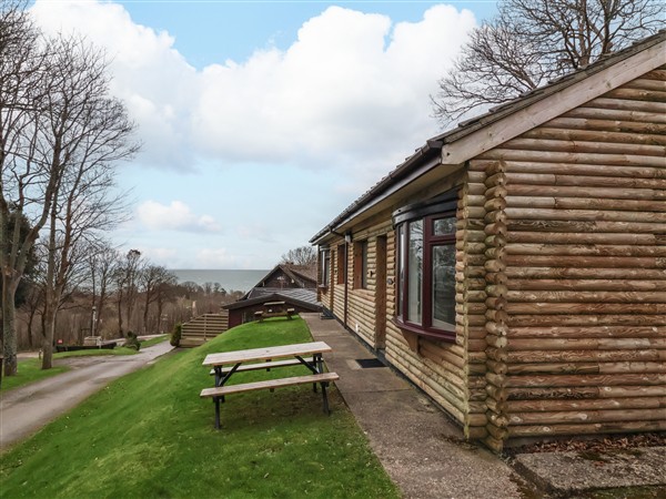 Dexter's Lodge in Devon