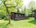 Forget about your problems at Doirewood; ; Penlan Holiday Park near Cenarth