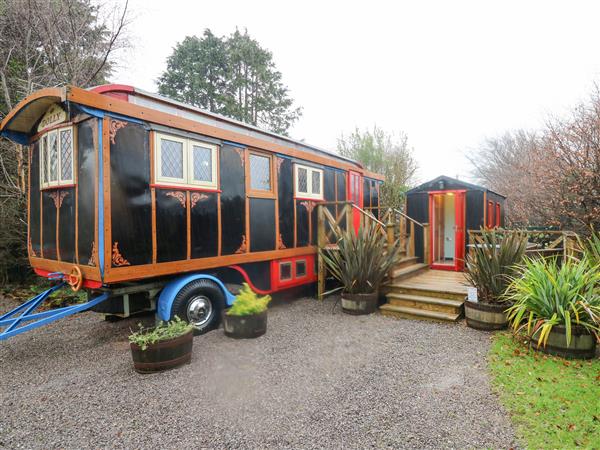 Dolly the Circus Wagon - Dyfed