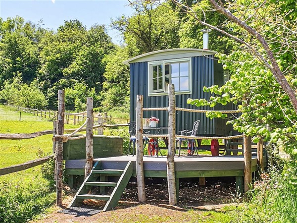 Dorset Alpaca Shepherd’s Hut in Dorset