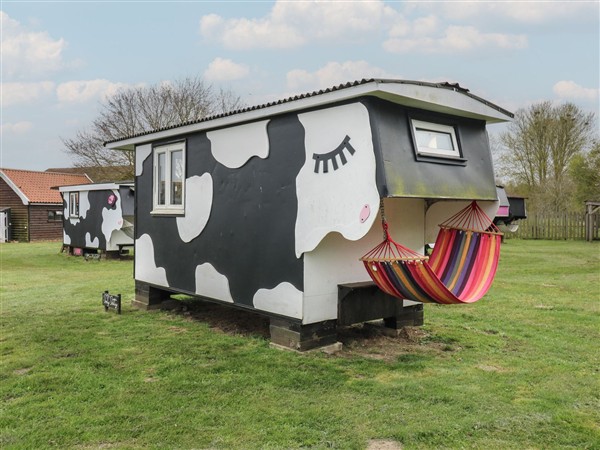 Dozy Dotty (Cow Shed 4) in Suffolk