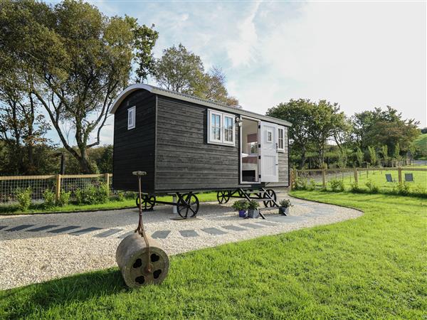 Dragonfly Shepherd's Hut - Dyfed