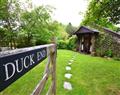Take things easy at Duck End; ; East Allington