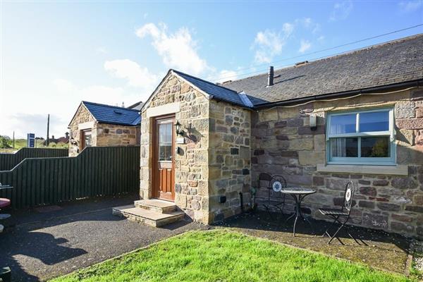 Dunlin Cottage - Lucker Steadings in Northumberland