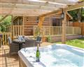 Enjoy your Hot Tub at Elm Lodge; ; Washford near Watchet