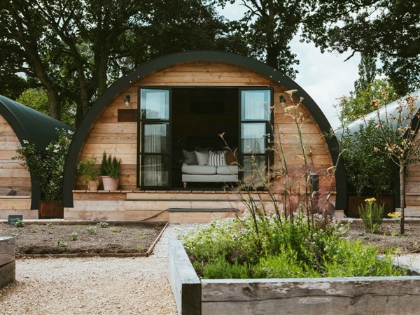 Elm Pyggy in Hampshire